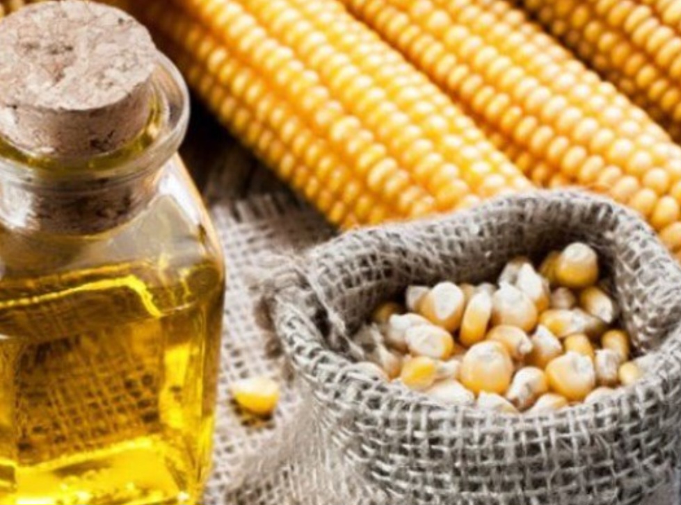 تصویر 3 از خرید گلوکز پودری مناسب با قیمت باور نکردنی